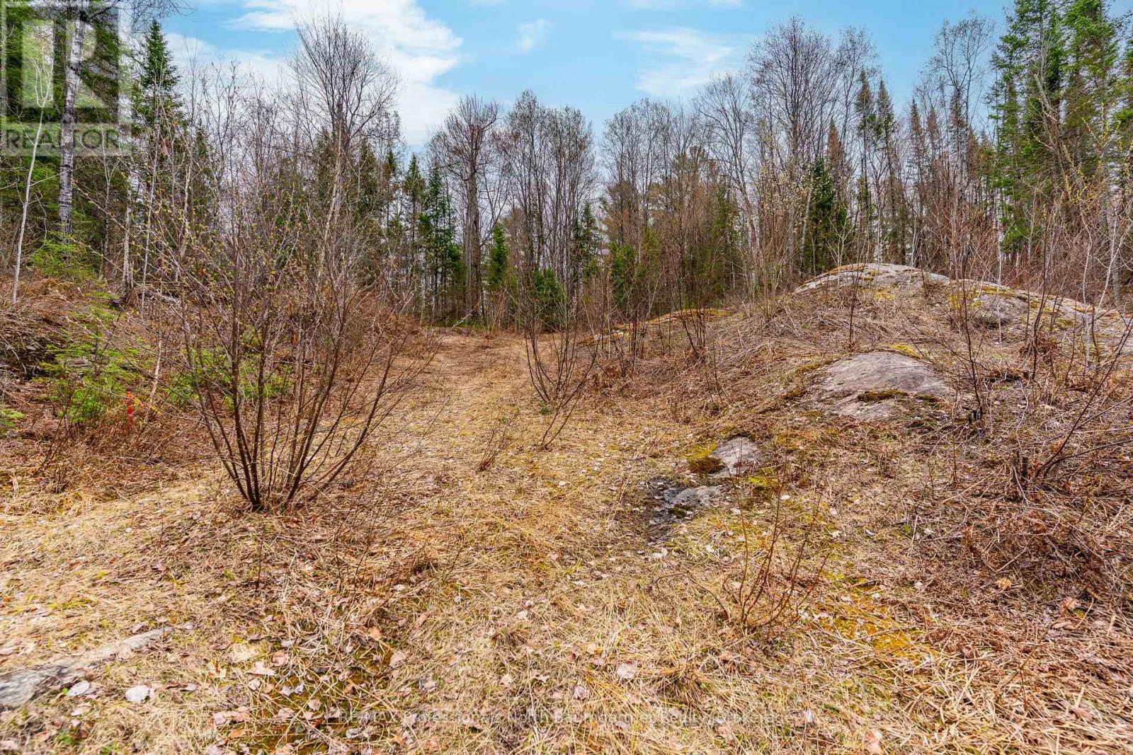 0 Brady Lake Road, Minden Hills, Ontario  K0M 2K0 - Photo 11 - X13129990