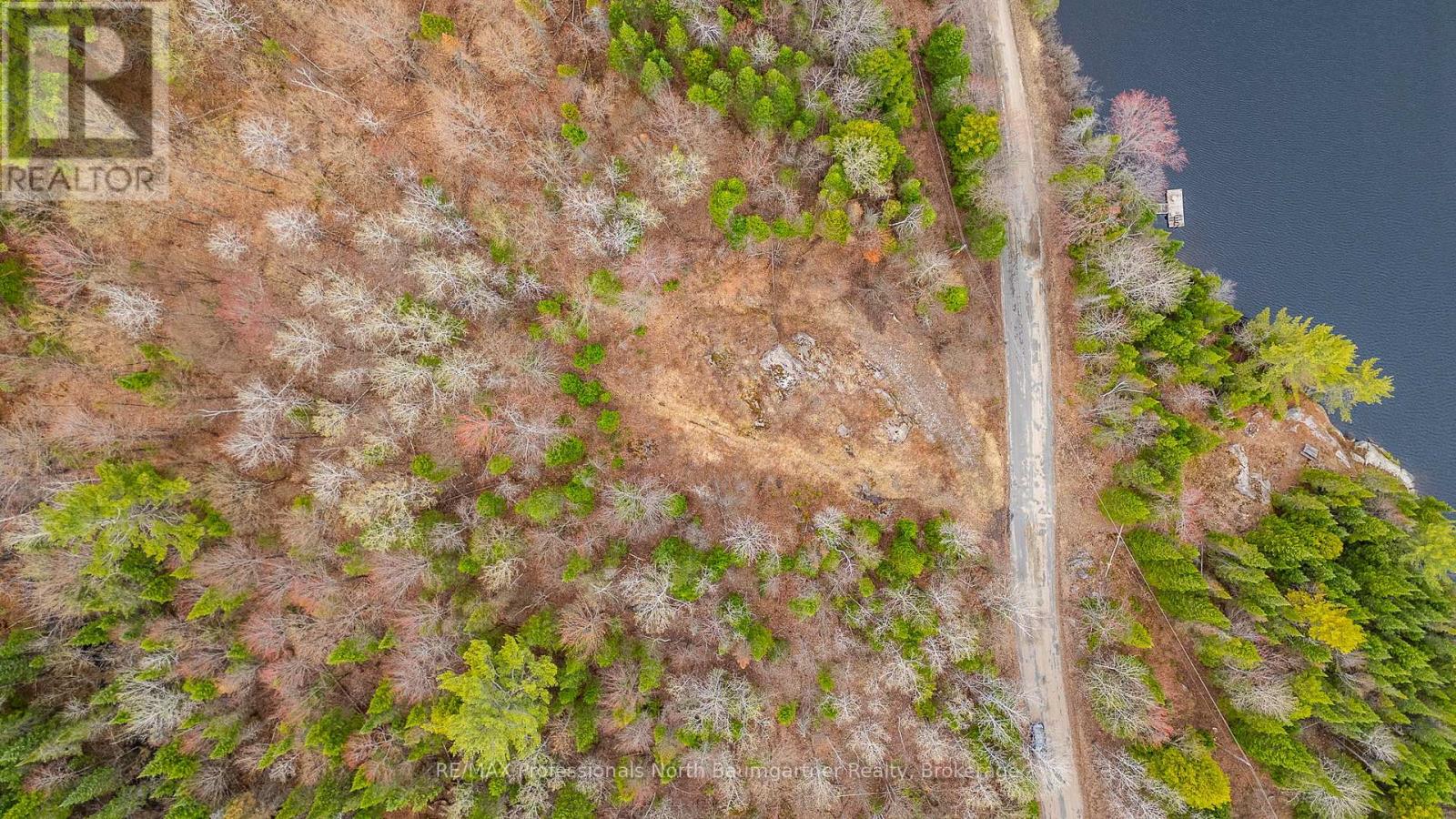 0 Brady Lake Road, Minden Hills, Ontario  K0M 2K0 - Photo 16 - X13129990