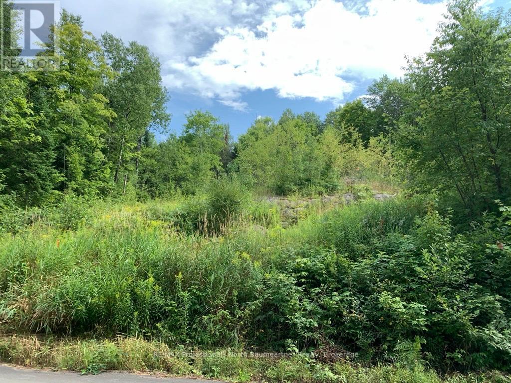 0 Brady Lake Road, Minden Hills, Ontario  K0M 2K0 - Photo 22 - X13129990