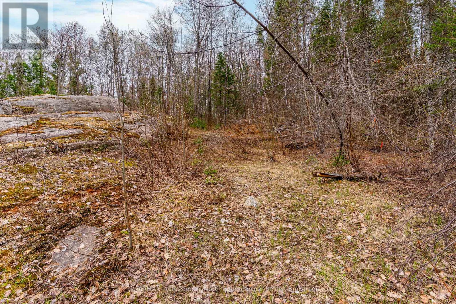 0 Brady Lake Road, Minden Hills, Ontario  K0M 2K0 - Photo 5 - X13129990