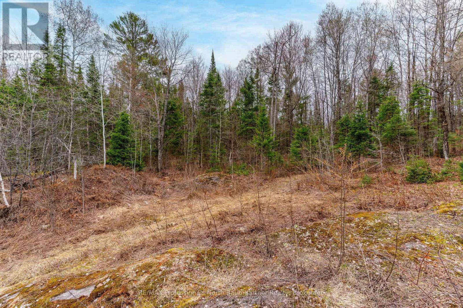 0 Brady Lake Road, Minden Hills, Ontario  K0M 2K0 - Photo 6 - X13129990