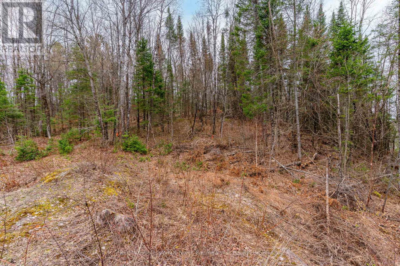 0 Brady Lake Road, Minden Hills, Ontario  K0M 2K0 - Photo 7 - X13129990