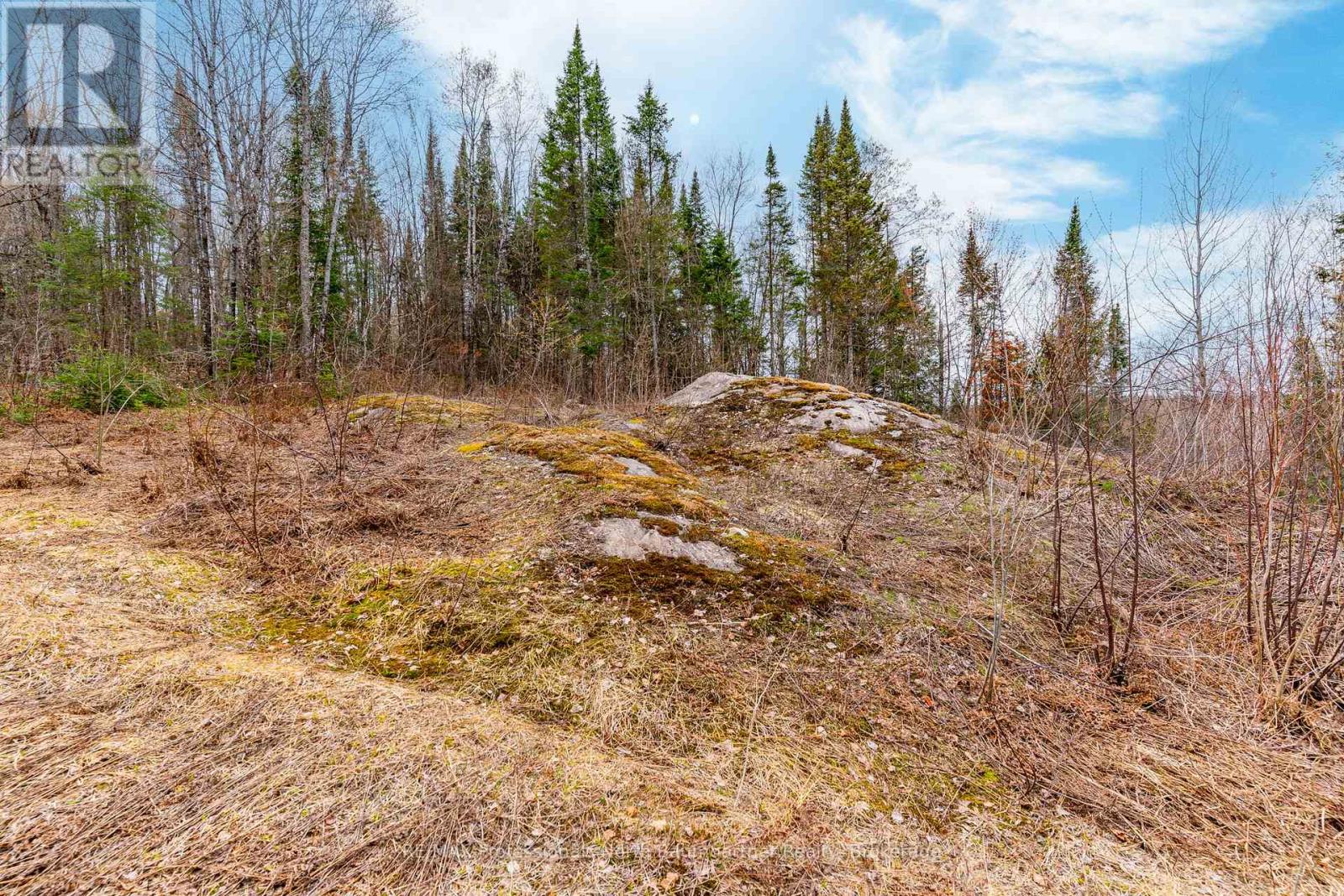0 Brady Lake Road, Minden Hills, Ontario  K0M 2K0 - Photo 9 - X13129990