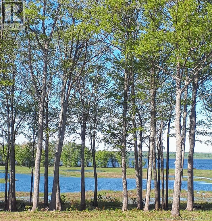 33 Acorn Crescent, Scotchtown, New Brunswick  E4B 0A1 - Photo 27 - NB139240