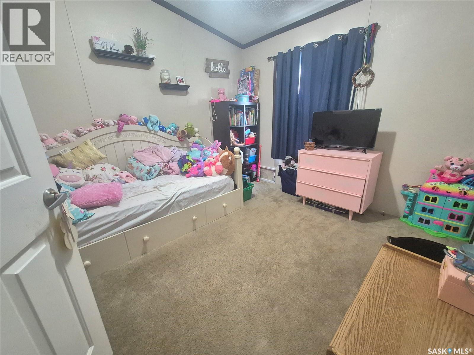 160 7th Avenue E, Bengough, Saskatchewan  S0C 0K0 - Photo 26 - SK036027