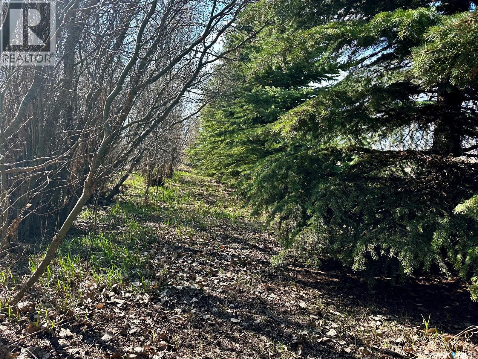 18.7 Acres- South Of Quappelle, South Qu'appelle Rm No. 157, Saskatchewan  S0G 0B7 - Photo 34 - SK035963