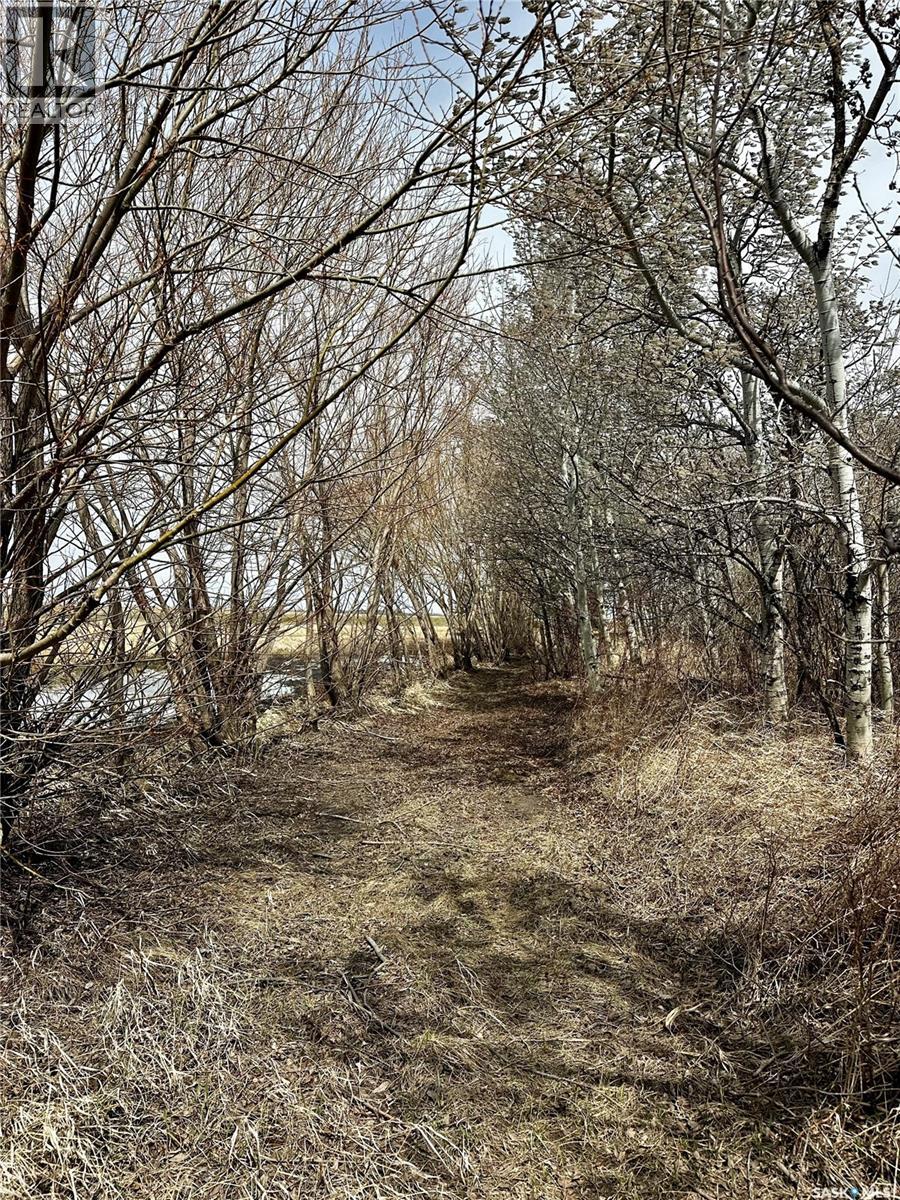 18.7 Acres- South Of Quappelle, South Qu'appelle Rm No. 157, Saskatchewan  S0G 0B7 - Photo 37 - SK035963