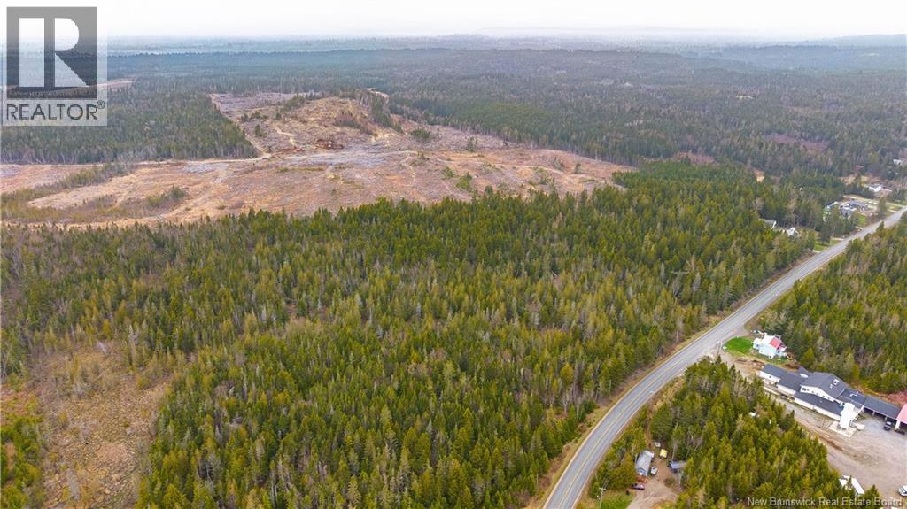 00 Route 172, Back Bay, New Brunswick  E5C 1X3 - Photo 6 - NB133086