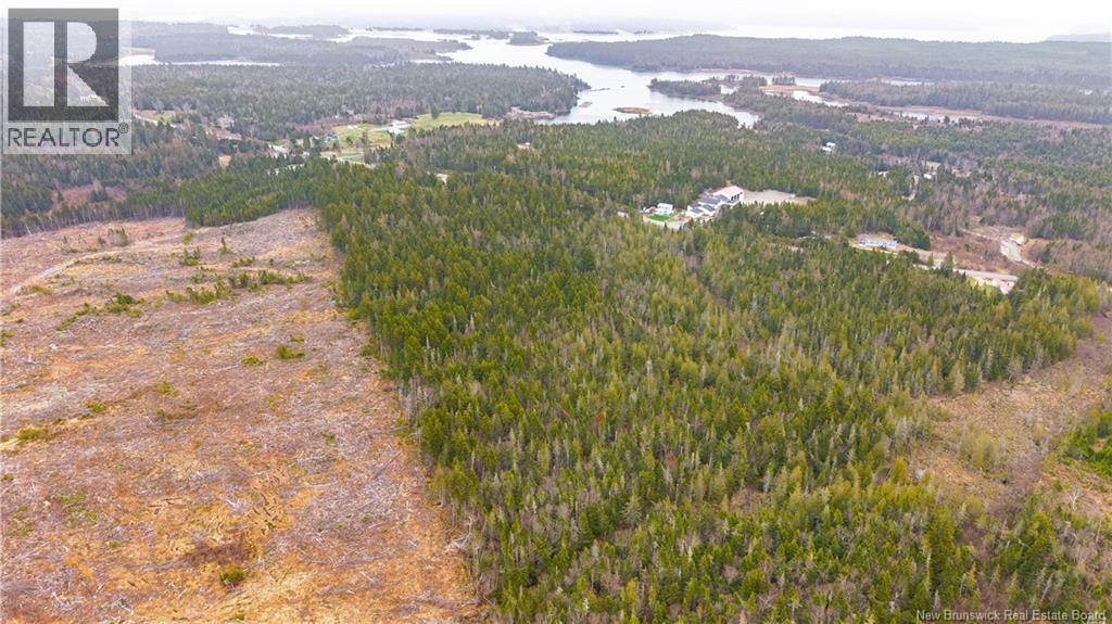 00 Route 172, Back Bay, New Brunswick  E5C 1X3 - Photo 9 - NB133086