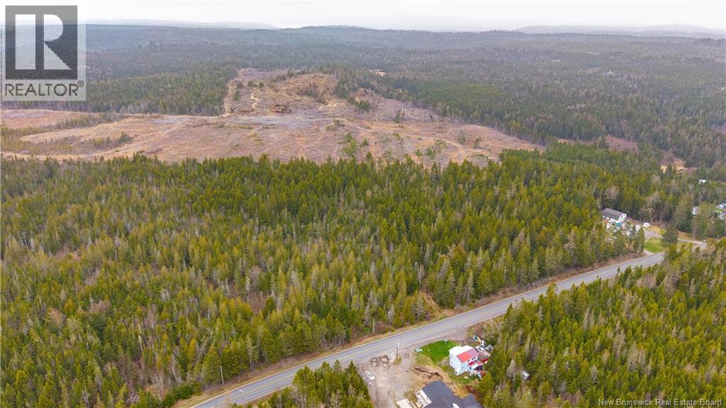 00 Route 172, Back Bay, New Brunswick  E5C 1X3 - Photo 19 - NB133086