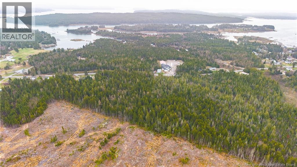 00 Route 172, Back Bay, New Brunswick  E5C 1X3 - Photo 11 - NB133086