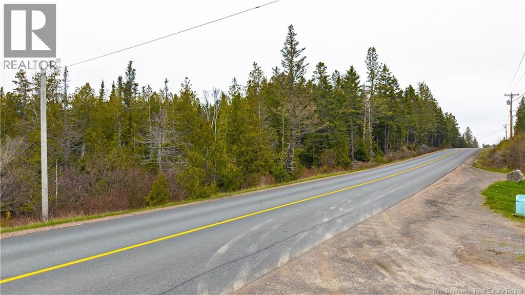 00 Route 172, Back Bay, New Brunswick  E5C 1X3 - Photo 18 - NB133086