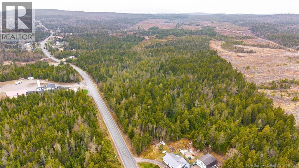 00 Route 172, Back Bay, New Brunswick  E5C 1X3 - Photo 15 - NB133086