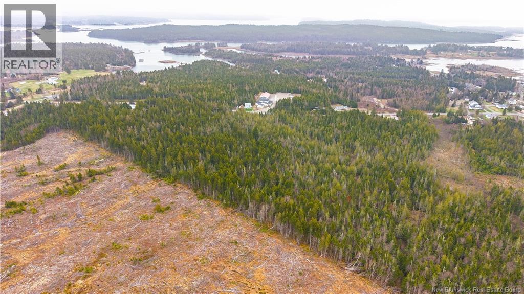 00 Route 172, Back Bay, New Brunswick  E5C 1X3 - Photo 10 - NB133086