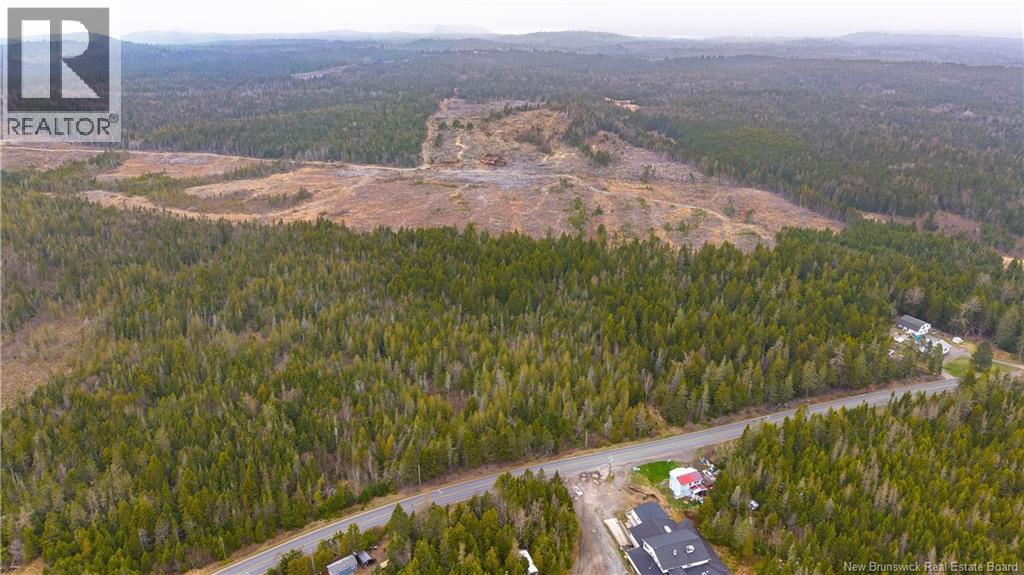00 Route 172, Back Bay, New Brunswick  E5C 1X3 - Photo 20 - NB133086