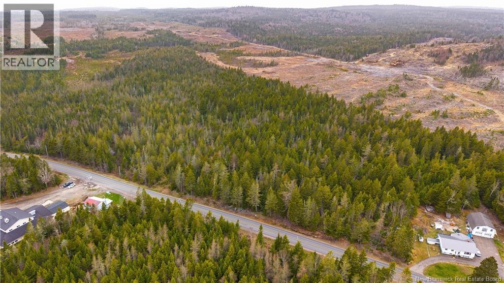 00 Route 172, Back Bay, New Brunswick  E5C 1X3 - Photo 17 - NB133086