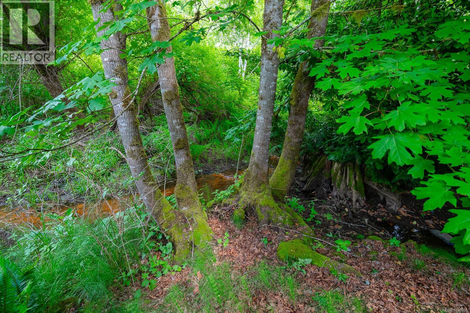 5801 Compton Rd, Port Alberni, British Columbia V0Y 7B7 - Photo 11 - 1036950
