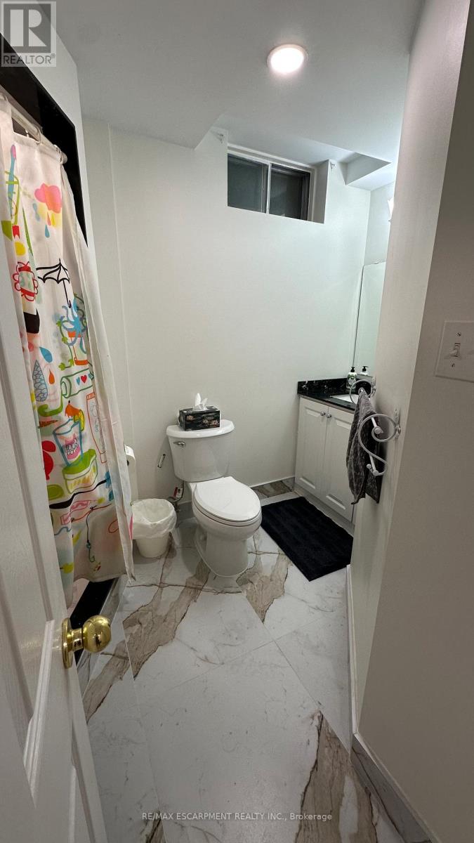 Basement - 5481 Wilderness Trail, Mississauga, Ontario  L4Z 4A5 - Photo 8 - W13130268