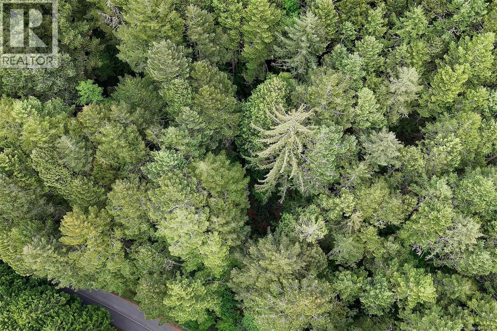 Lot 2 East Sooke Rd, Sooke, British Columbia V9Z 1A8 - Photo 5 - 1036760