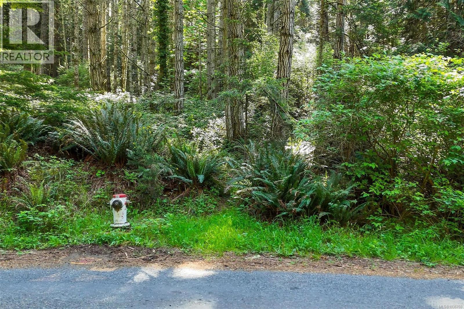 Lot 2 East Sooke Rd, Sooke, British Columbia V9Z 1A8 - Photo 9 - 1036760