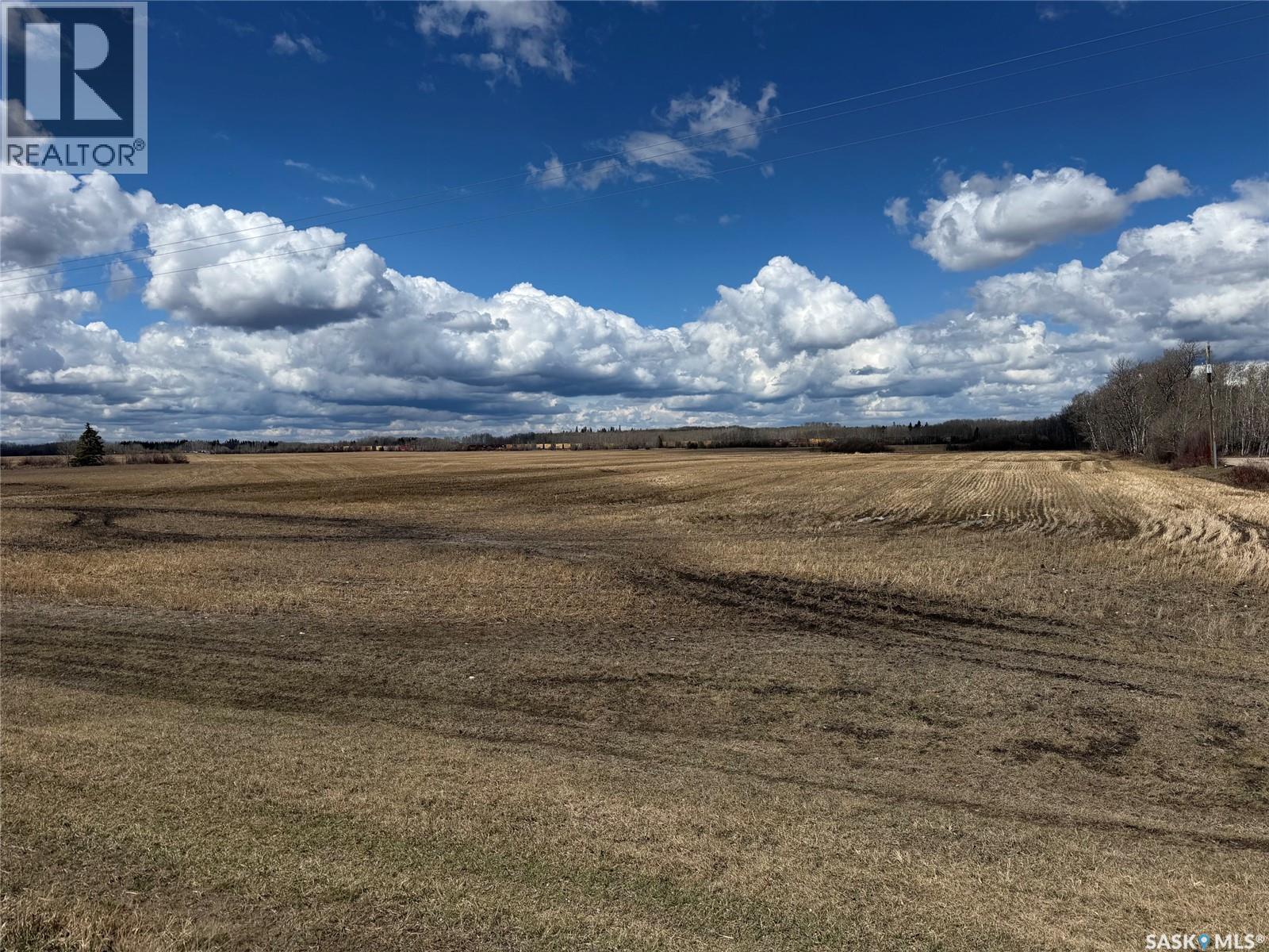 Borowetz, Hudson Bay Rm No. 394, Saskatchewan