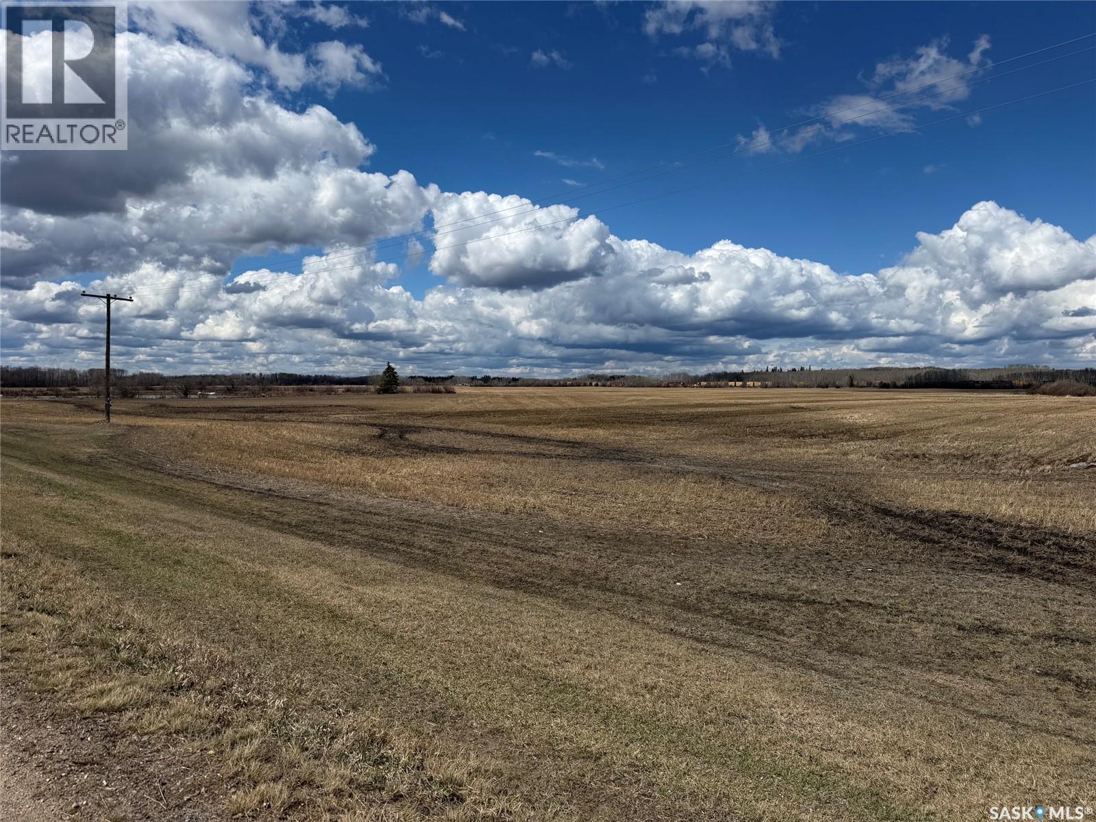 Borowetz, Hudson Bay Rm No. 394, Saskatchewan  S0E 0Y0 - Photo 2 - SK036041