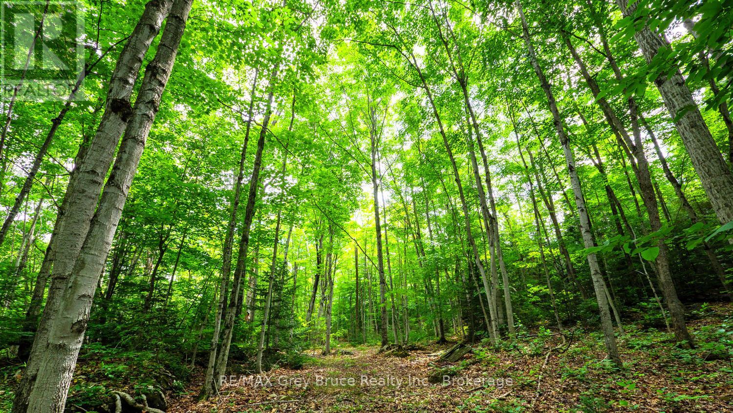 Part 1 Tammy's Cove Road, Northern Bruce Peninsula, Ontario  N0H 1Z0 - Photo 10 - X13130592