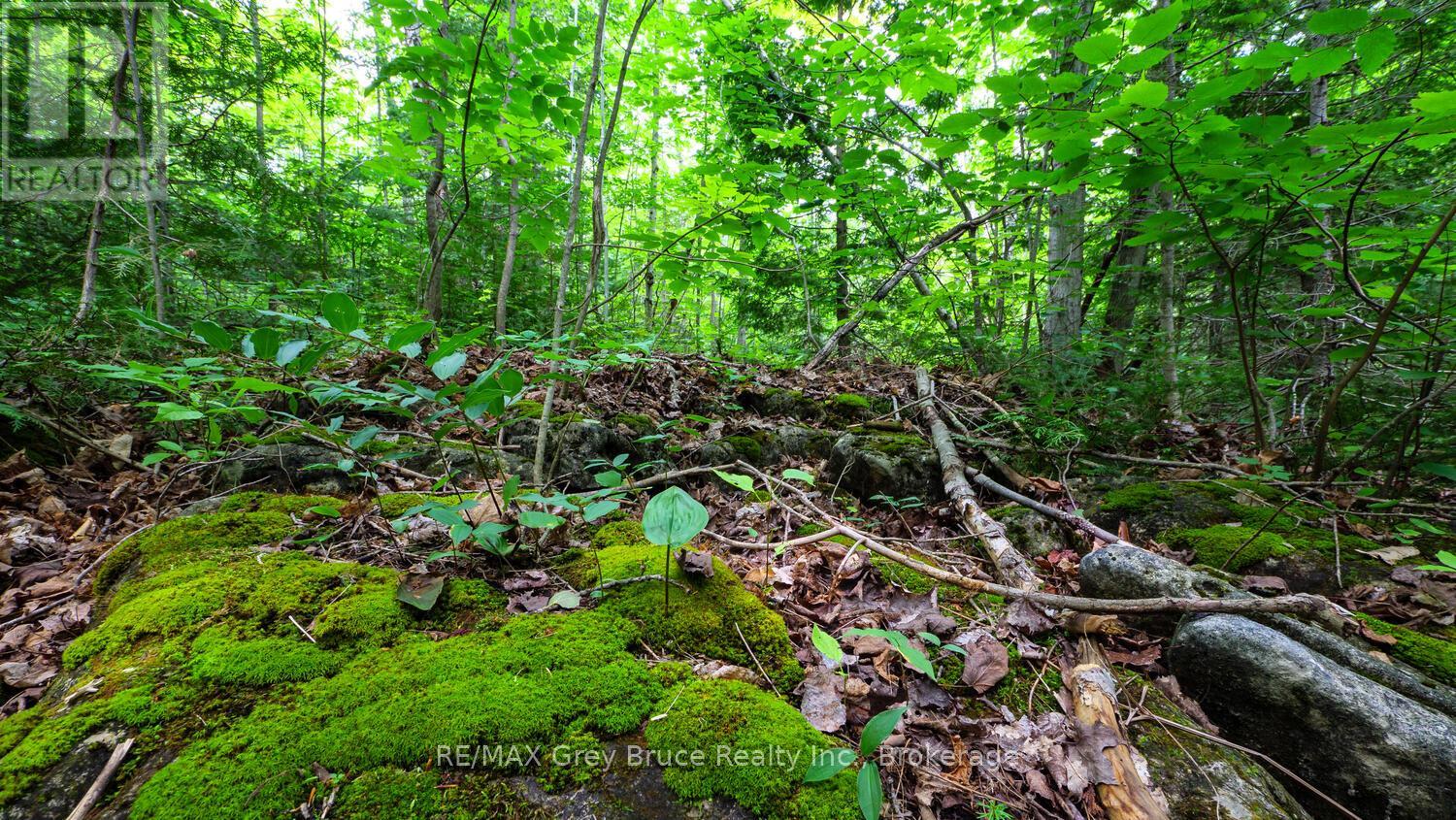 Part 1 Tammy's Cove Road, Northern Bruce Peninsula, Ontario  N0H 1Z0 - Photo 12 - X13130592