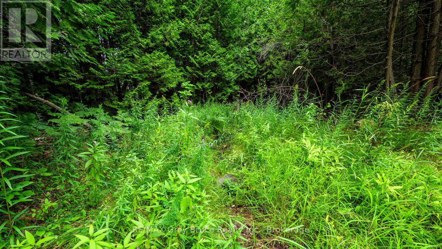 Part 1 Tammy's Cove Road, Northern Bruce Peninsula, Ontario  N0H 1Z0 - Photo 13 - X13130592