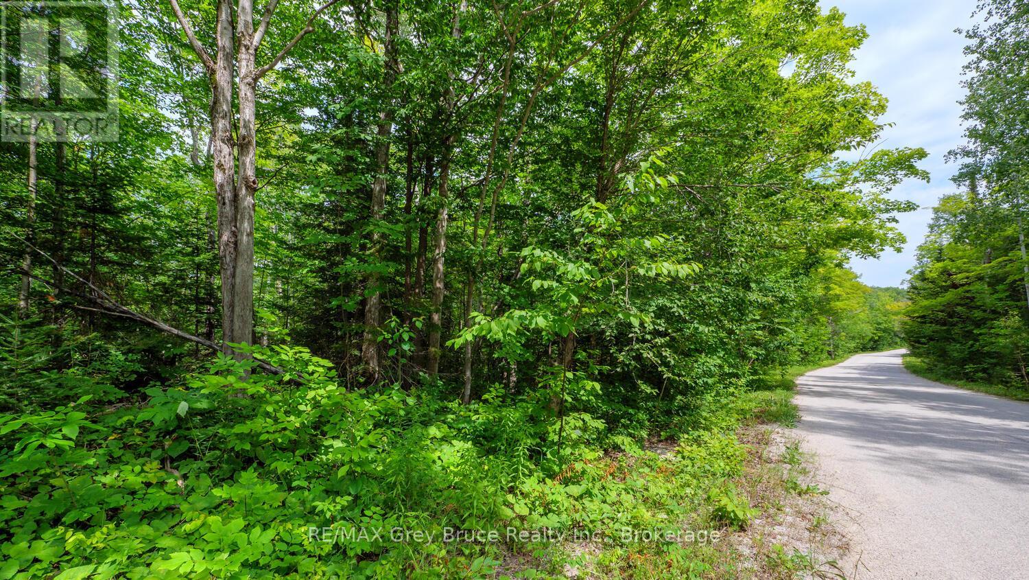 Part 1 Tammy's Cove Road, Northern Bruce Peninsula, Ontario  N0H 1Z0 - Photo 15 - X13130592