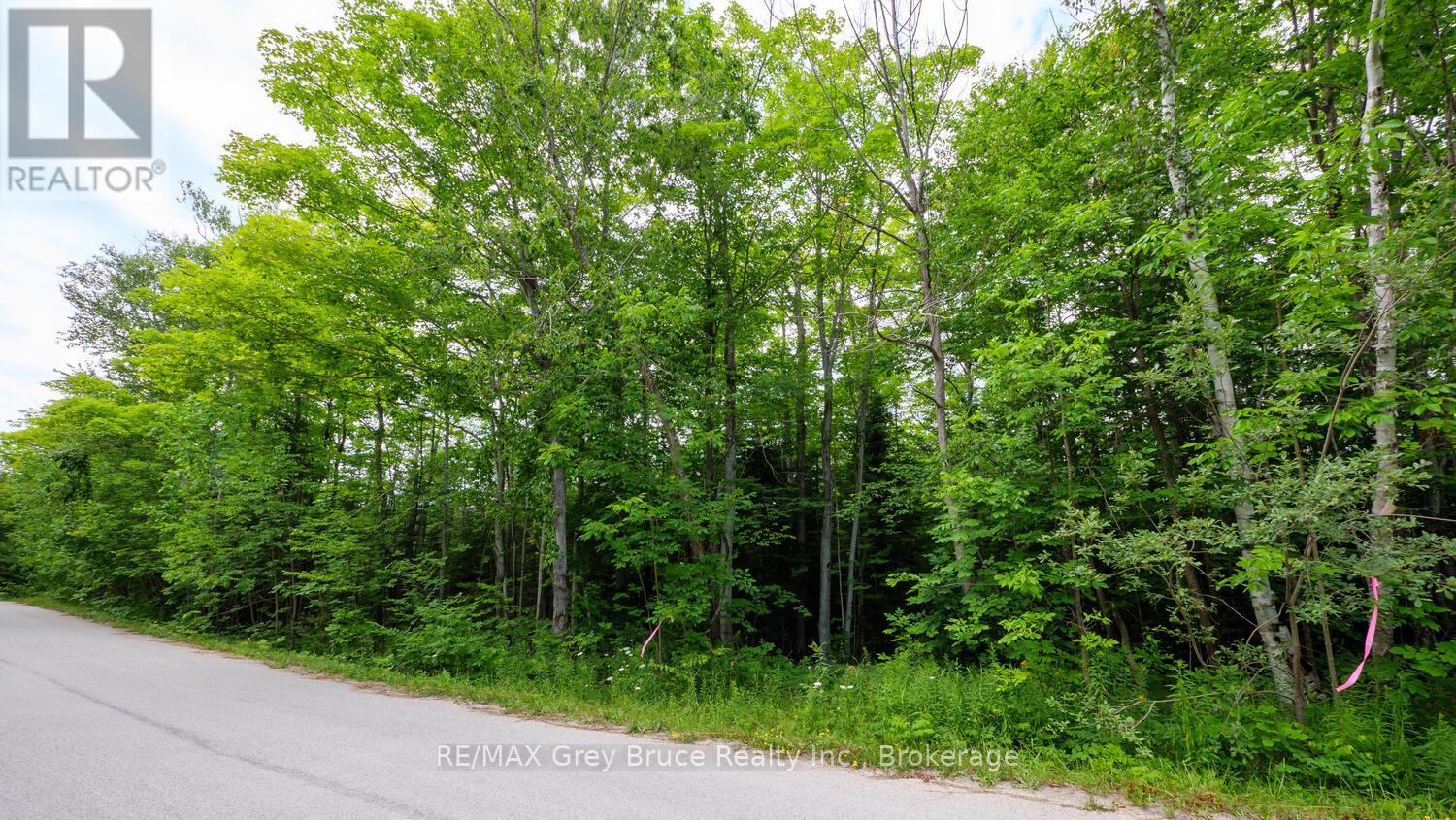 Part 1 Tammy's Cove Road, Northern Bruce Peninsula, Ontario  N0H 1Z0 - Photo 6 - X13130592