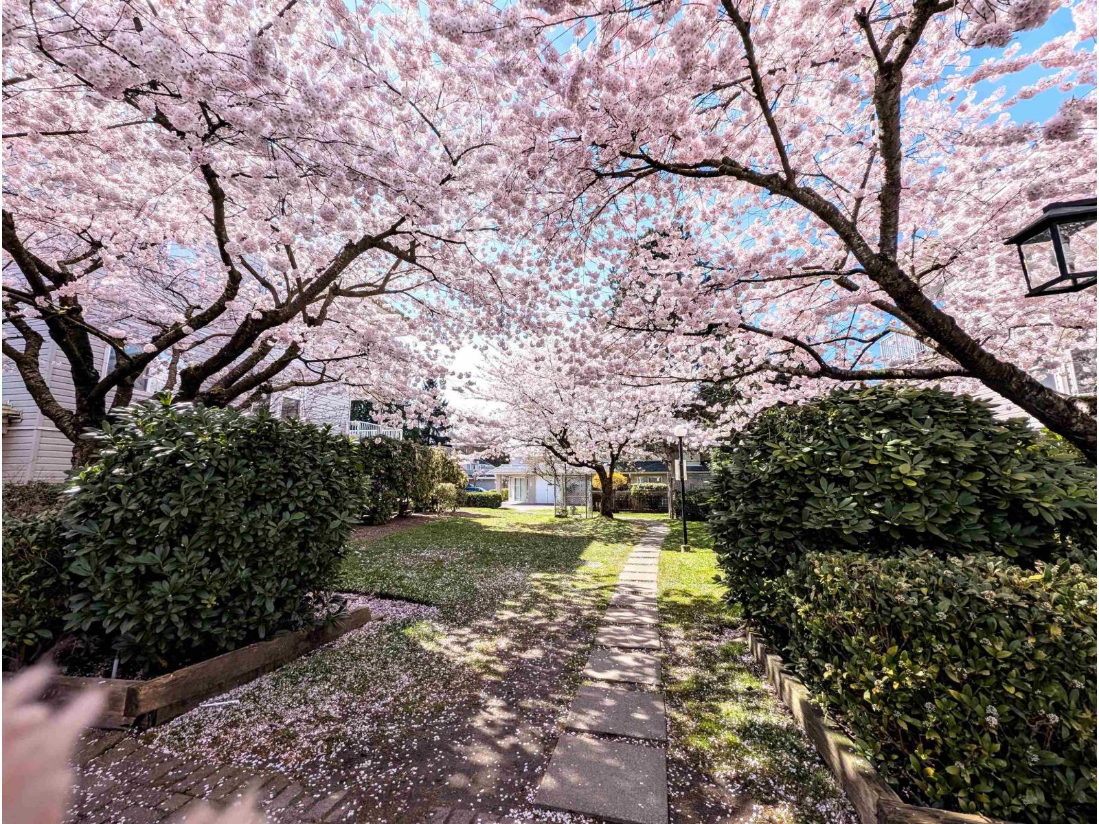 311 9948 151 Street, Surrey, British Columbia  V3R 0V6 - Photo 12 - R3122725