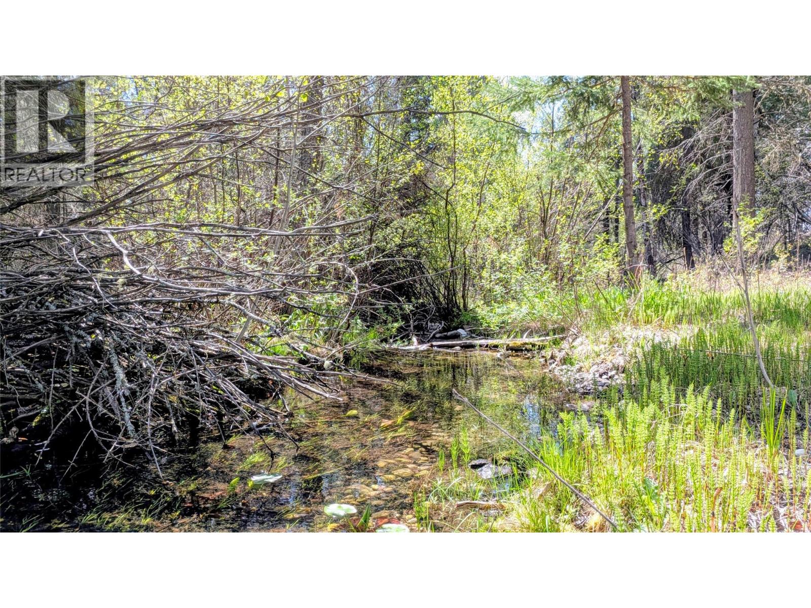 4165 Ld Ranch Road, Kimberley, British Columbia  V1A 3L4 - Photo 38 - 10387281
