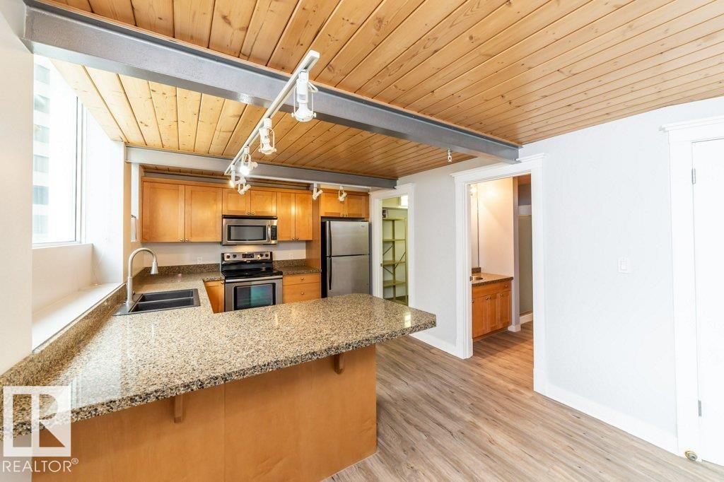 #208 10009 102 Av Nw, Edmonton, Alberta  T5J 5B6 - Photo 7 - E4487808