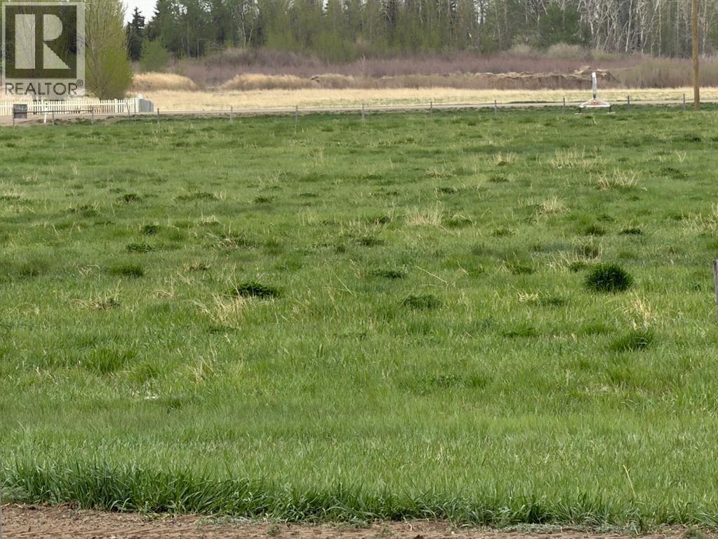 Near Trans Canada Hwy 1 Acres, Rural Newell, Alberta  T1R 1C3 - Photo 2 - A2311089