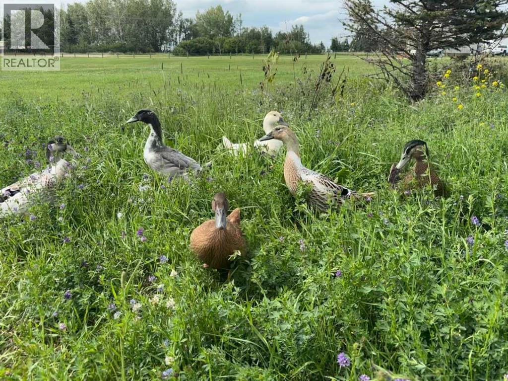 3, 31035 Range Road 281, Rural Mountain View County, Alberta  T0M 0W0 - Photo 32 - A2311336