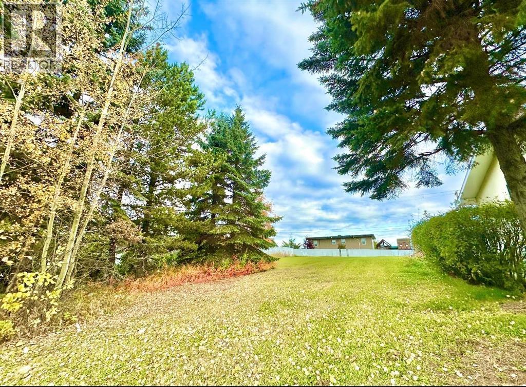 10316 103 Ave, Lac La Biche, Alberta  T0A 2C0 - Photo 1 - A1207968