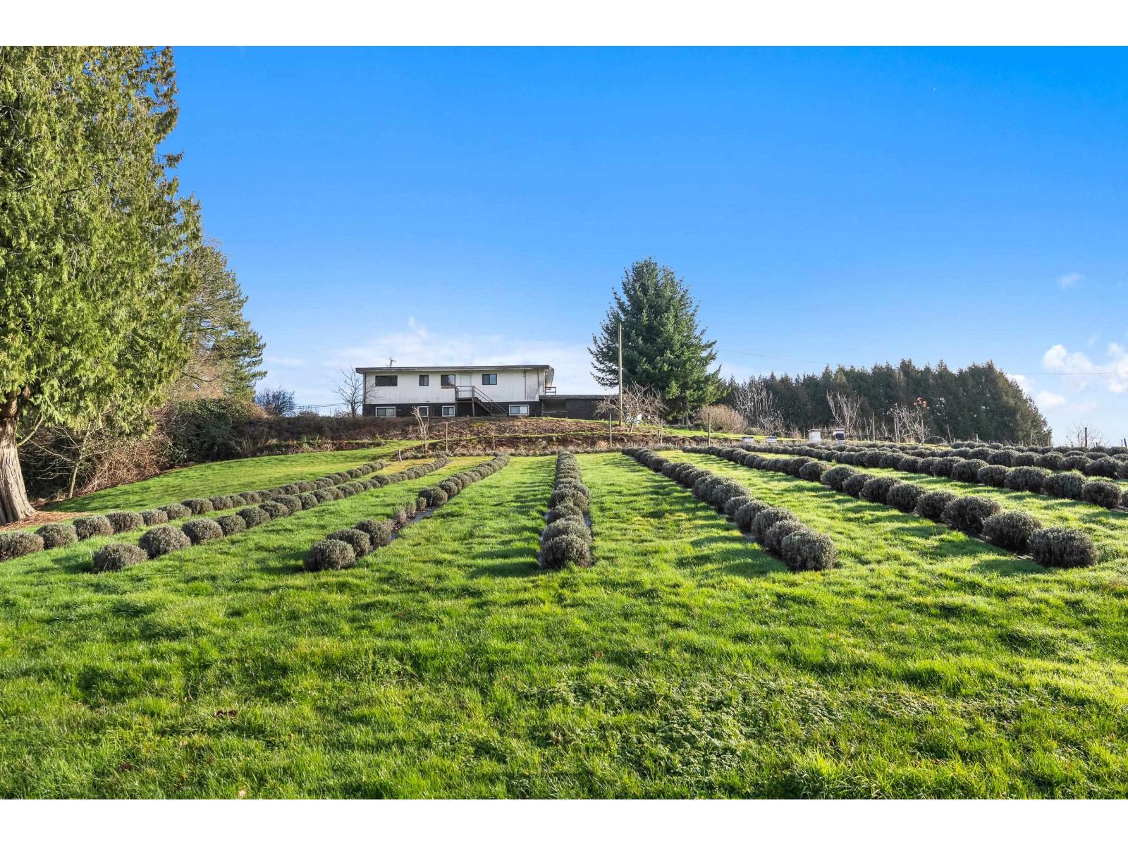 681 Bradner Road, Abbotsford, British Columbia  V4X 2J5 - Photo 8 - R3121040