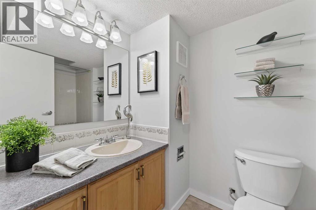 171 Deerfield Drive SE, Calgary, Alberta  T2J 7B7 - Photo 26 - A2306881