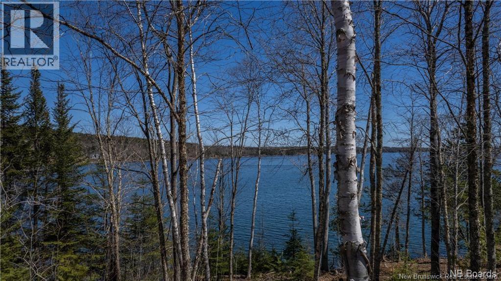 11 & 17 Bay Breeze, Bocabec, New Brunswick  E5B 3X3 - Photo 17 - NB139222