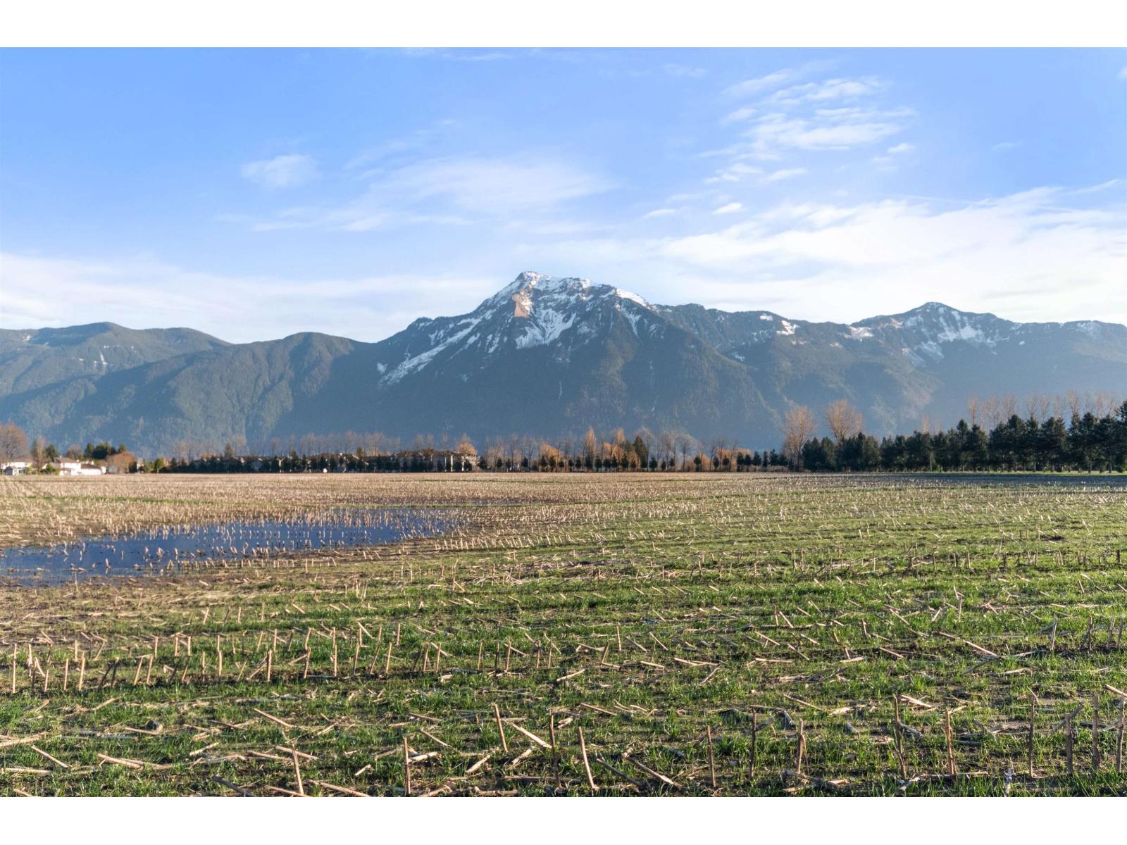 1732 Agassiz Avenue, Agassiz, Agassiz, British Columbia  V0M 1A3 - Photo 34 - R3124029