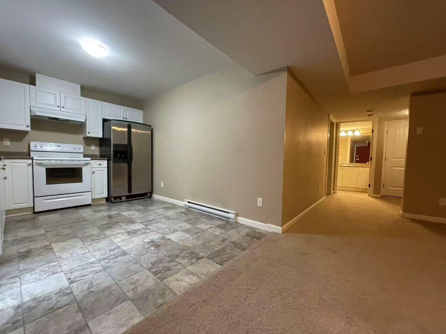 Basement 789x 211b Street, Langley, British Columbia  V2Y 0H5 - Photo 5 - R3123972