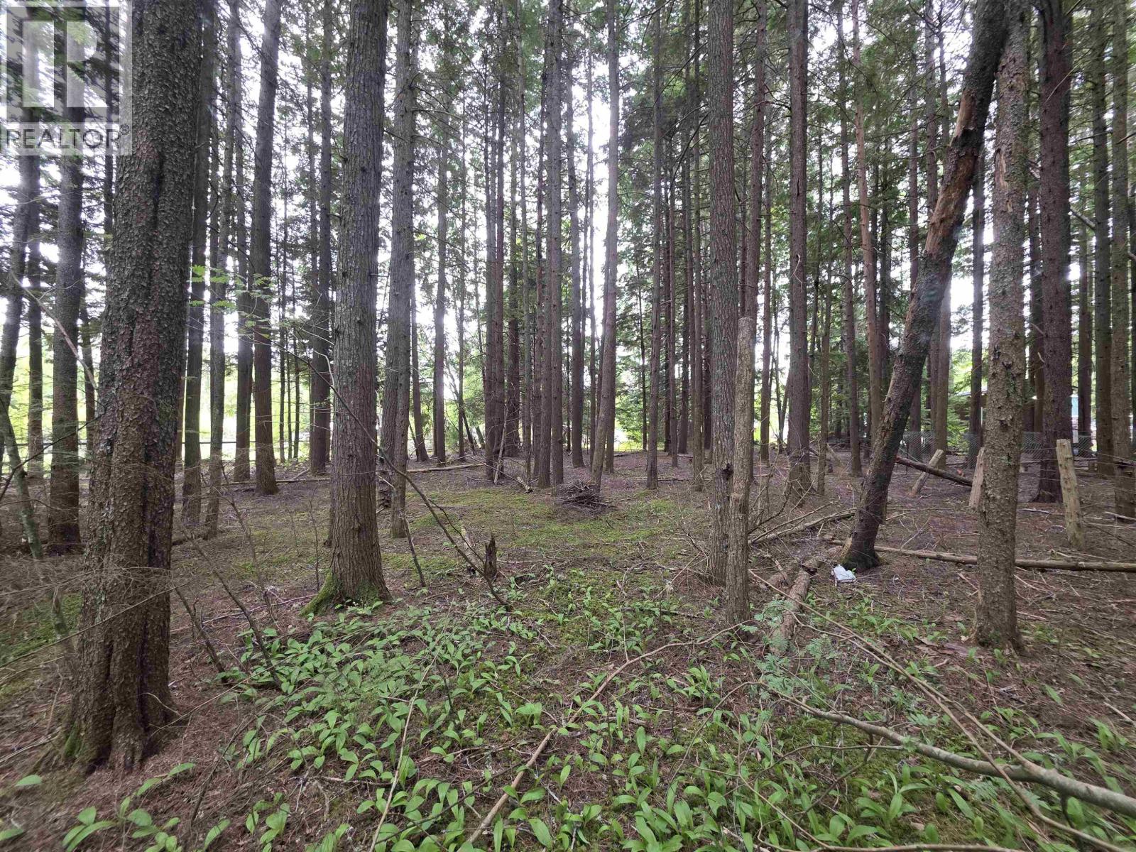 3940 Old Lakelse Lake Drive, Terrace, British Columbia  V8G 3V1 - Photo 40 - R3124021