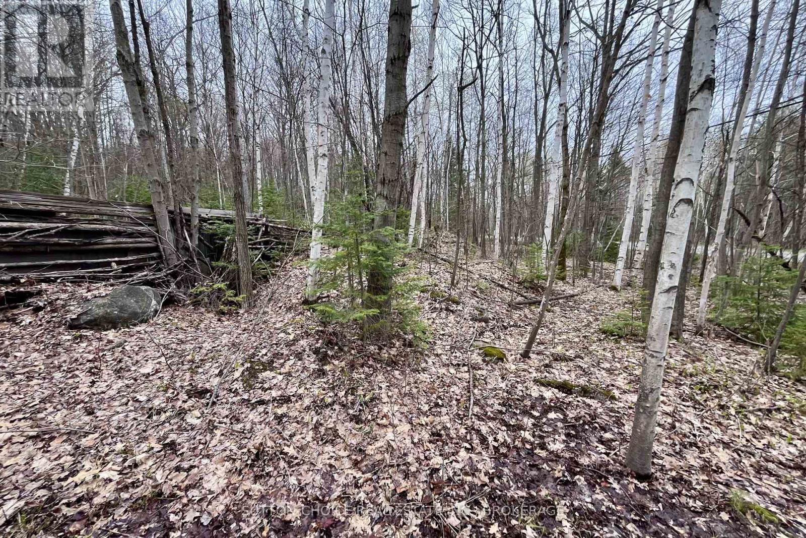 1867 Alsace Road, Nipissing, Ontario  P0H 1Z0 - Photo 12 - X13126426