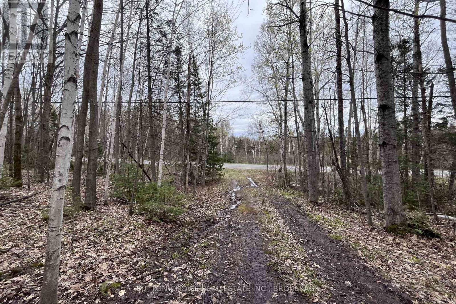 1867 Alsace Road, Nipissing, Ontario  P0H 1Z0 - Photo 13 - X13126426