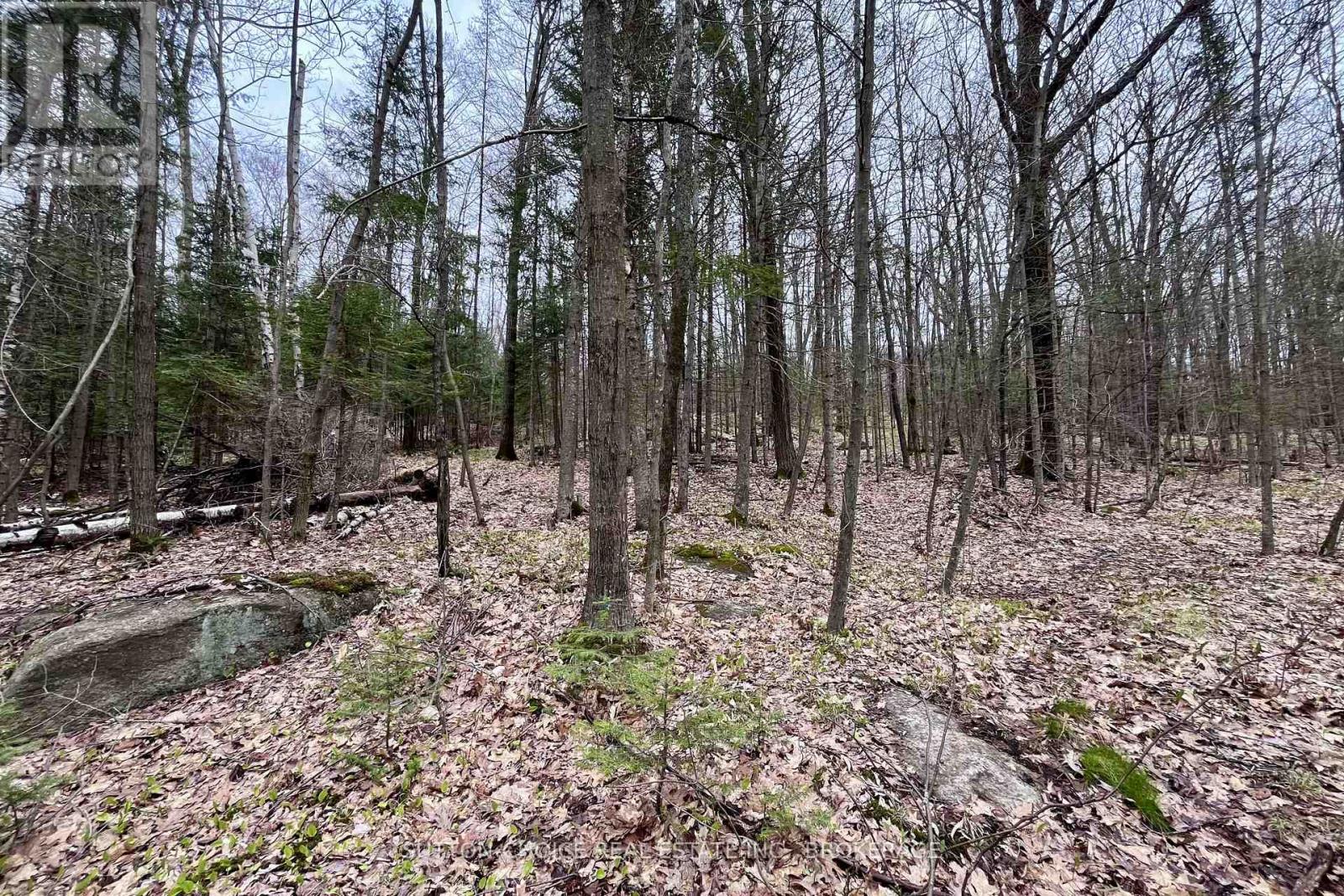 1867 Alsace Road, Nipissing, Ontario  P0H 1Z0 - Photo 20 - X13126426
