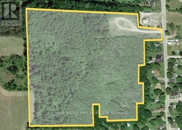 42 Elgin Street N, Athens, Ontario  K0E 1B0 - Photo 7 - X13131330