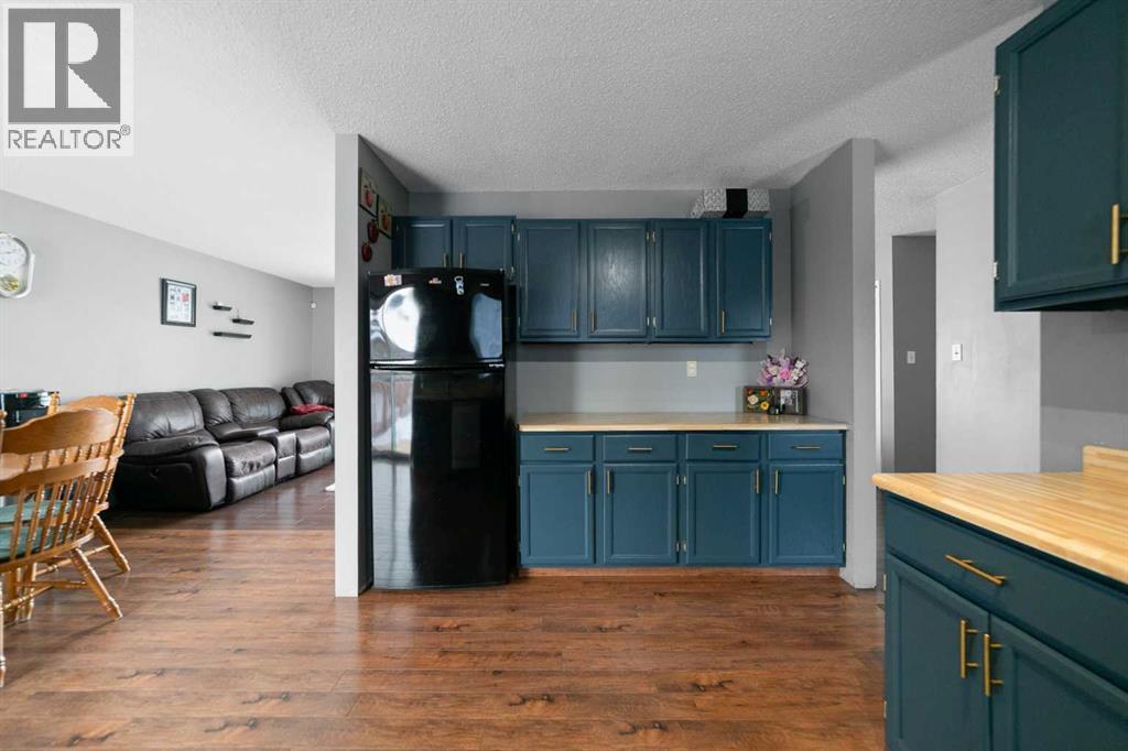 4723 52 Street, Lougheed, Alberta  T0B 2V0 - Photo 10 - A2283208
