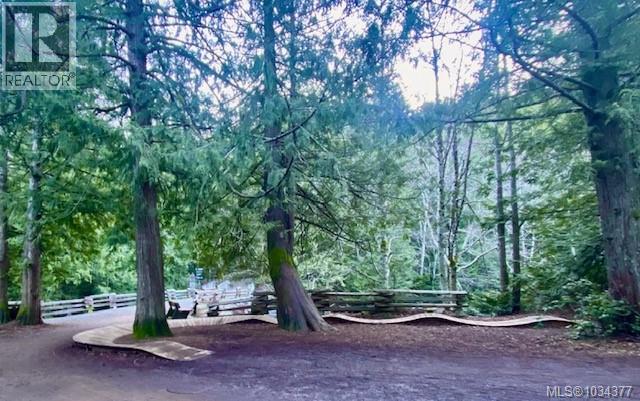 1005 Boeing Close, Langford, British Columbia  V9B 0R2 - Photo 29 - 1034377