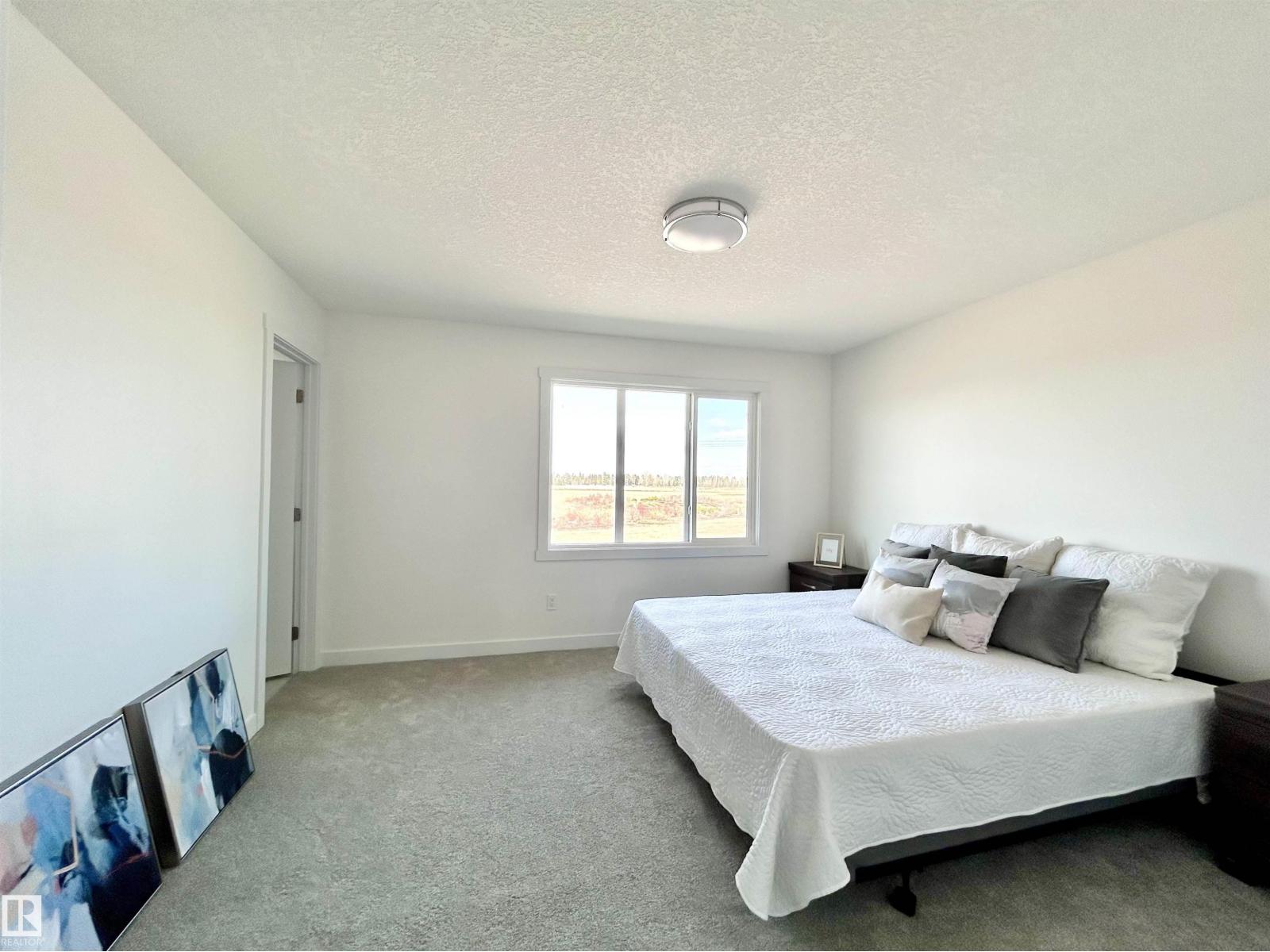 19632 29 Av Nw, Edmonton, Alberta  T6M 1M2 - Photo 9 - E4487872
